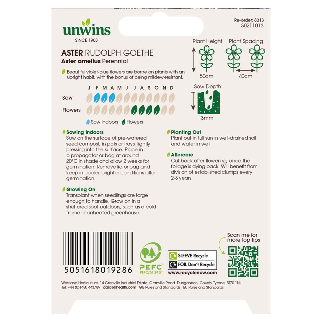 Unwins Aster Rudolph Goethe Seeds 5051618019286 2